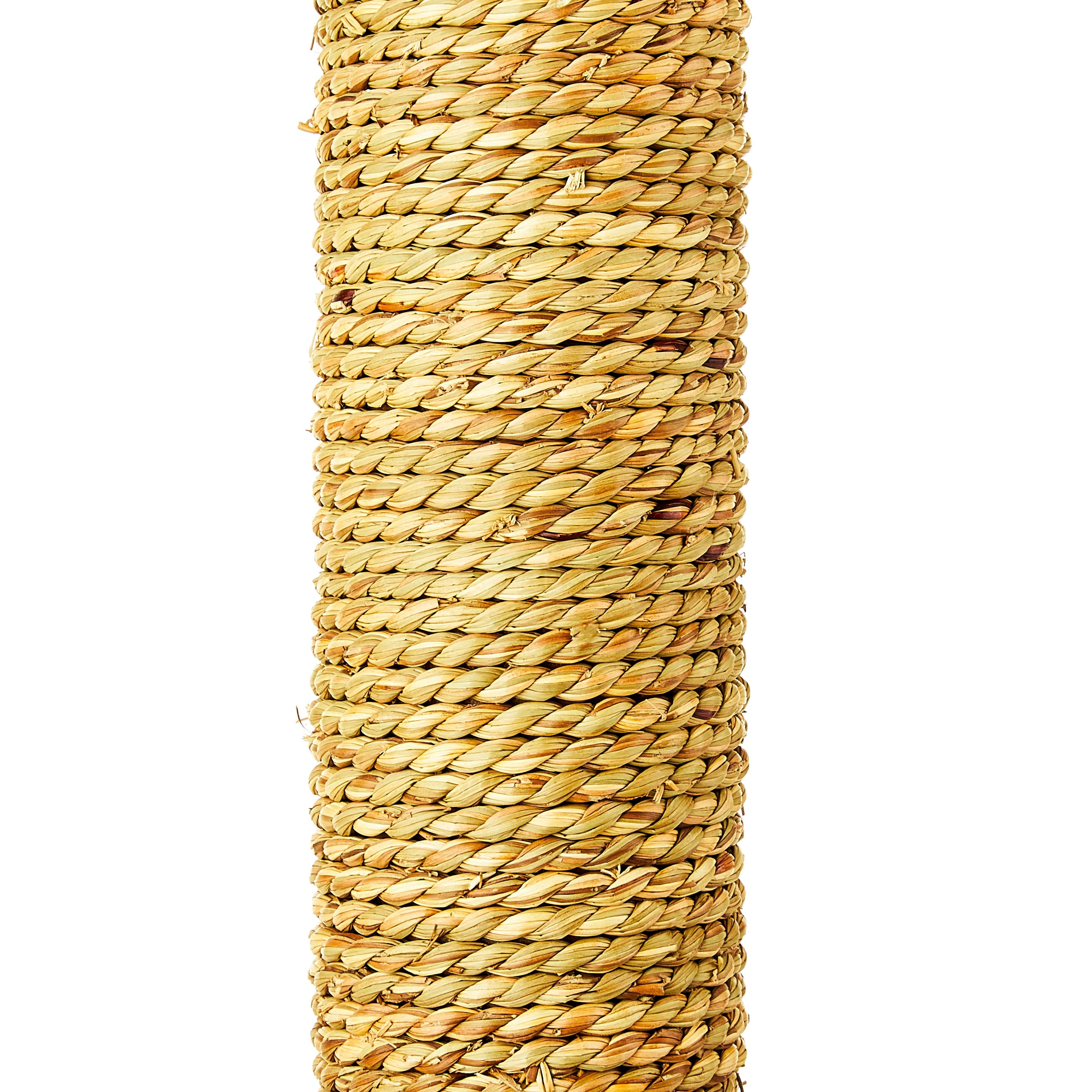 Vibrant Life Small Seagrass Scratch and Play Post, Gray, 20