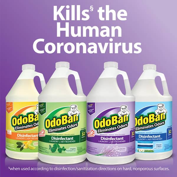 1 Gal. Lavender Disinfectant and Odor Eliminator, Fabric Freshener, Multi-Purpose Cleaner Concentrate (4-Pack)