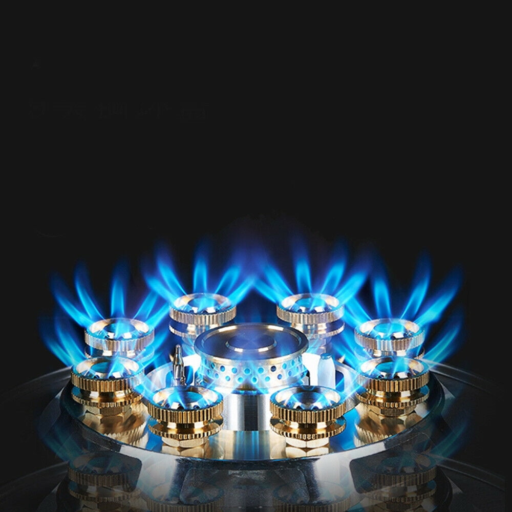 TFCFL Natural Gas Cooker Gas Cooktop 2 Burner Built-in Stove Gas Kitchen Cooking Black