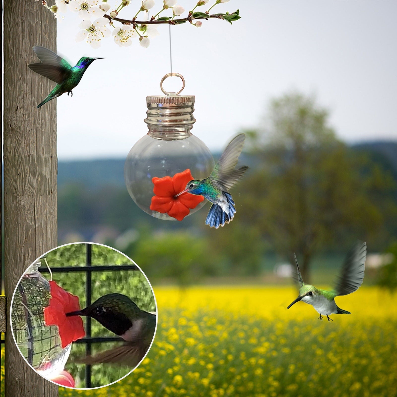 Kayannuo Clearance Courtyard Bird Feeder,Red Berries Hummingbird Feeder
