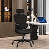 Lioncin Ergonomic Office Chair, Breathable Mesh Desk Chair, Lumbar Support Computer Chair with Wheels and 3D Adjustable Armrest, Swivel Task Chair,Dark Gray