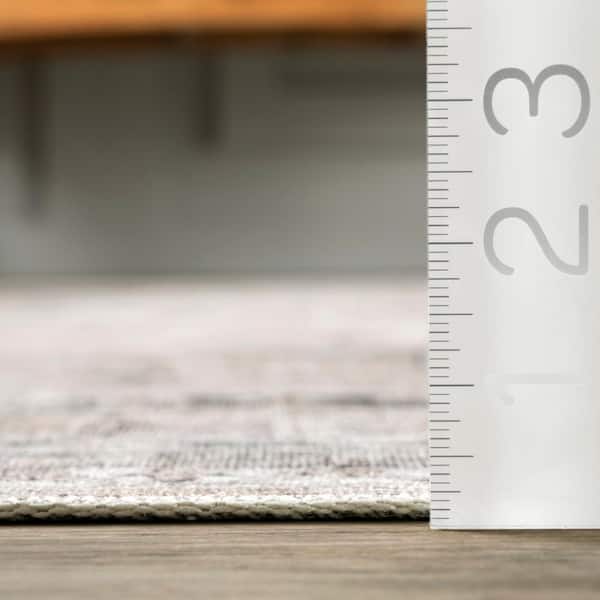 Davi Faded Stain-Resistant Machine Washable Taupe 8 ft. x 10 ft. Area Rug