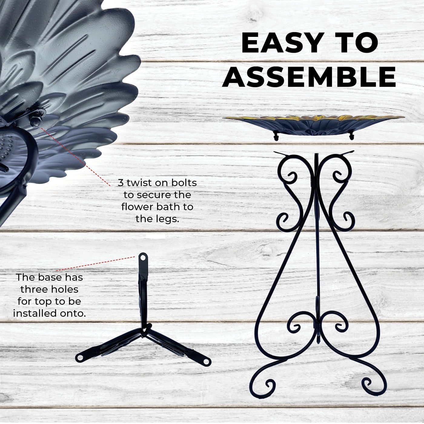 Backyard Expressions 24