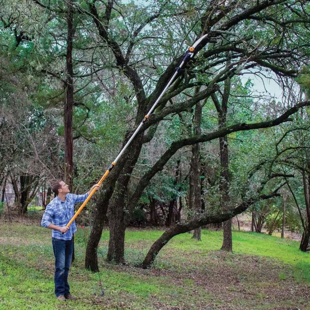 Fiskars 7 16' Chain Drive Extendable Pole Saw And Pruner