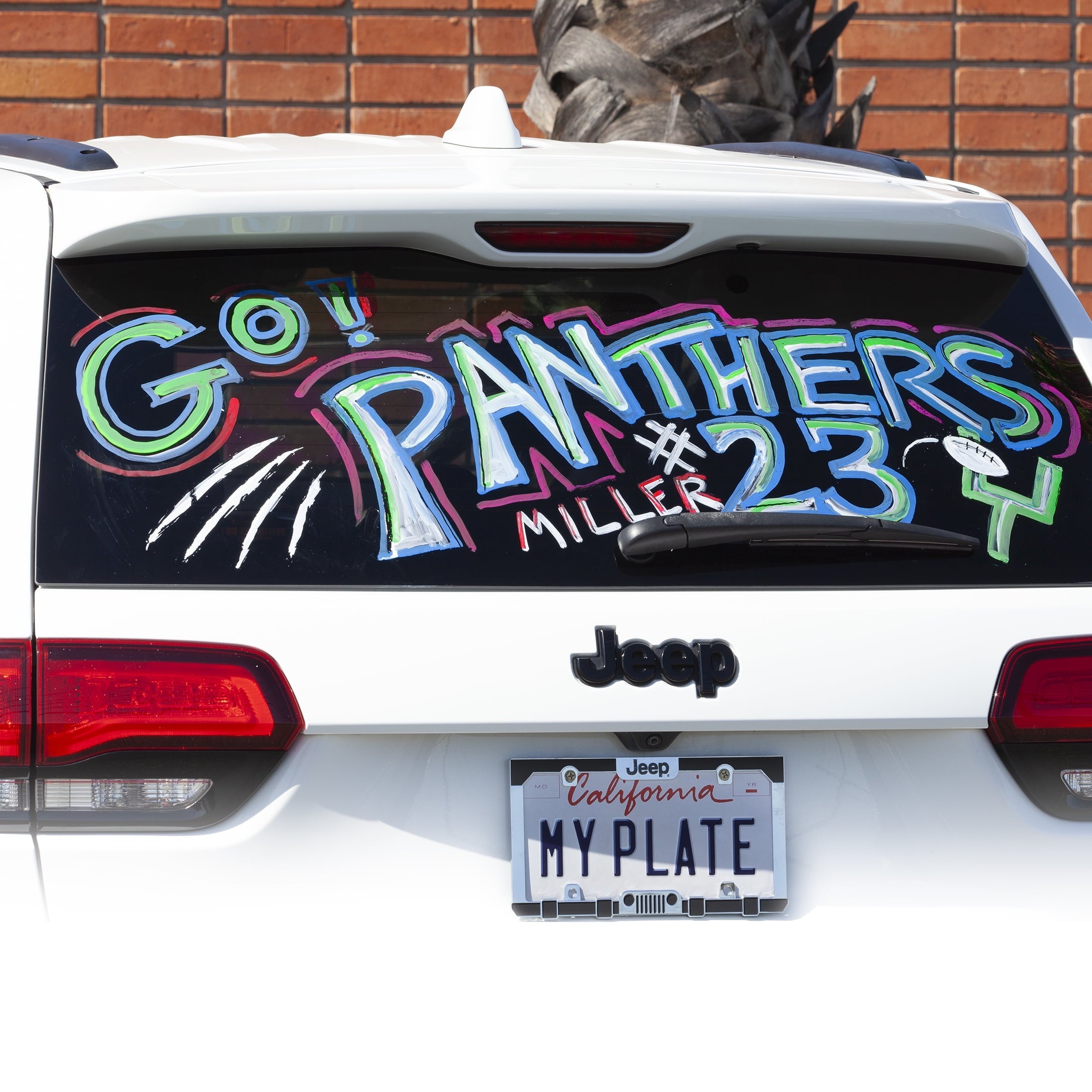 Auto Drive Universal Automotive Window Marker, 00145, Pink, 48 ml/2.05 oz., 1 Pack