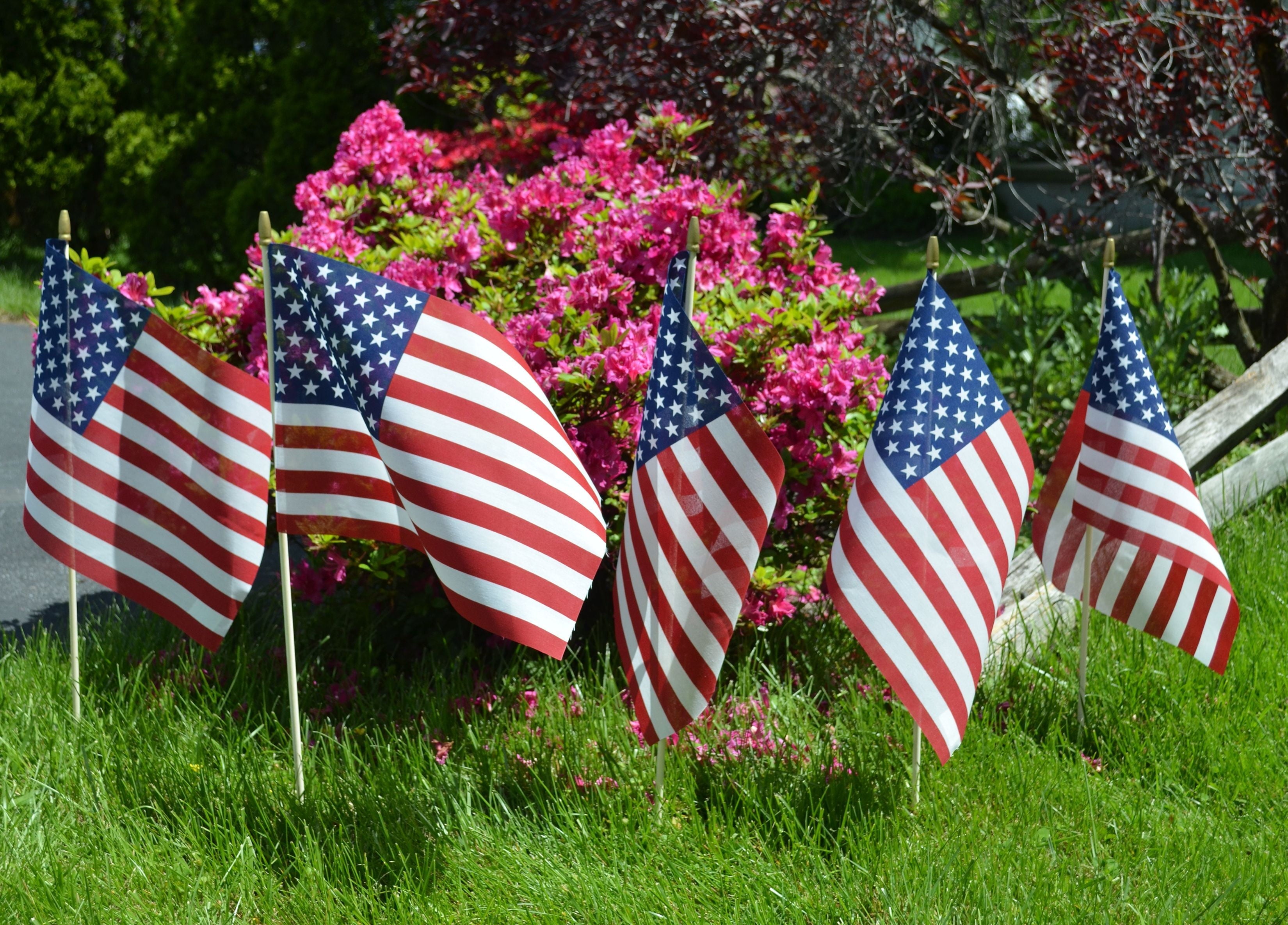 American Printed Polycotton Stick Flag, 12