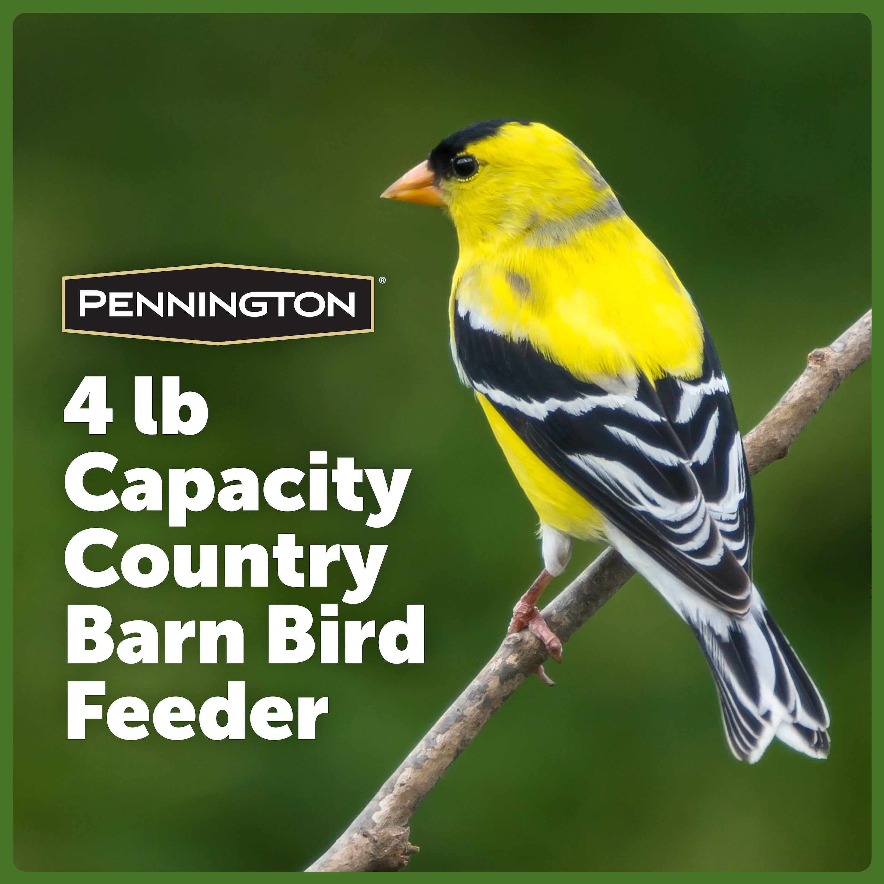 Pennington Red Resin Barn Wild Bird Feeder, 4.5 lb. Capacity