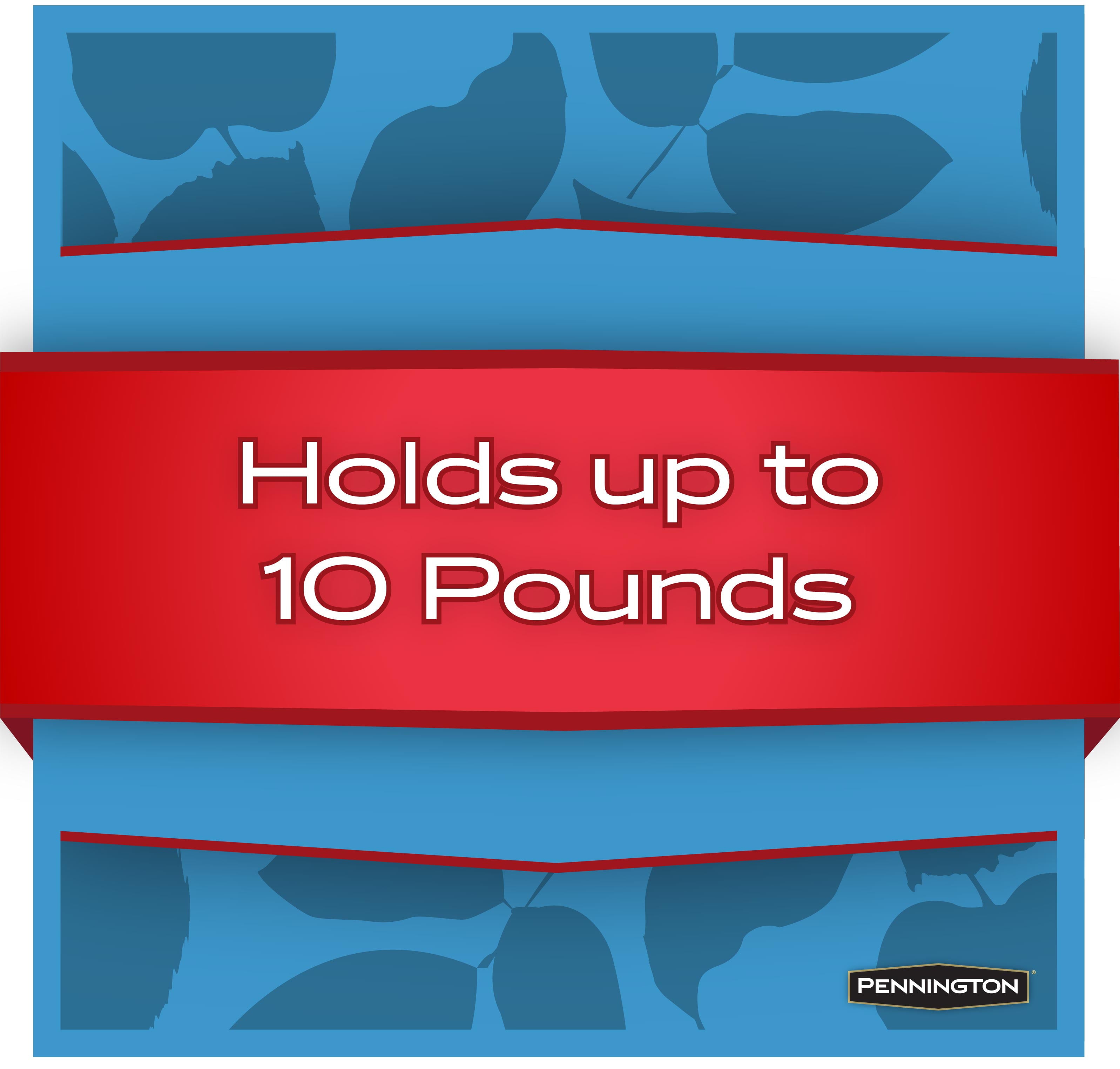 Pennington Red Resin Grand Ecozebo Wild Bird Feeder, 10 lb. Capacity, 1 Pack