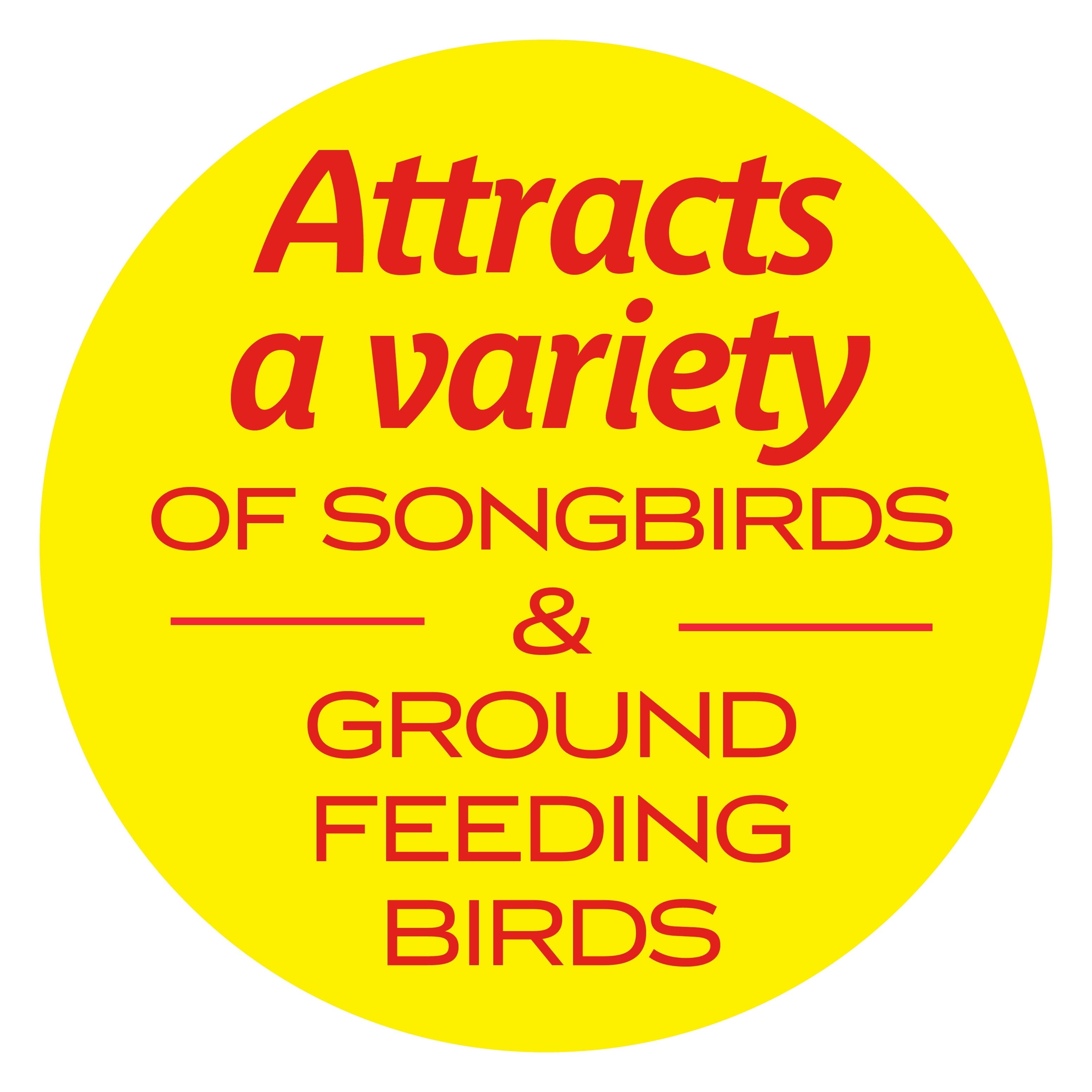 Pennington Red Cedar Wild Bird Ground Feeder, 12