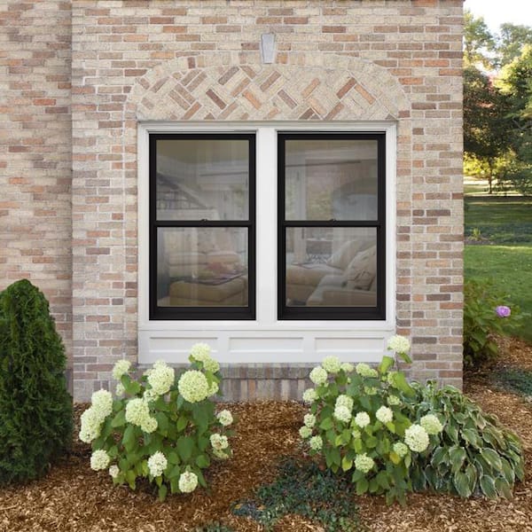 33.375 in. x 48 in. W-2500 Series Black Painted Clad Wood Double Hung Window w/ Natural Interior and Screen