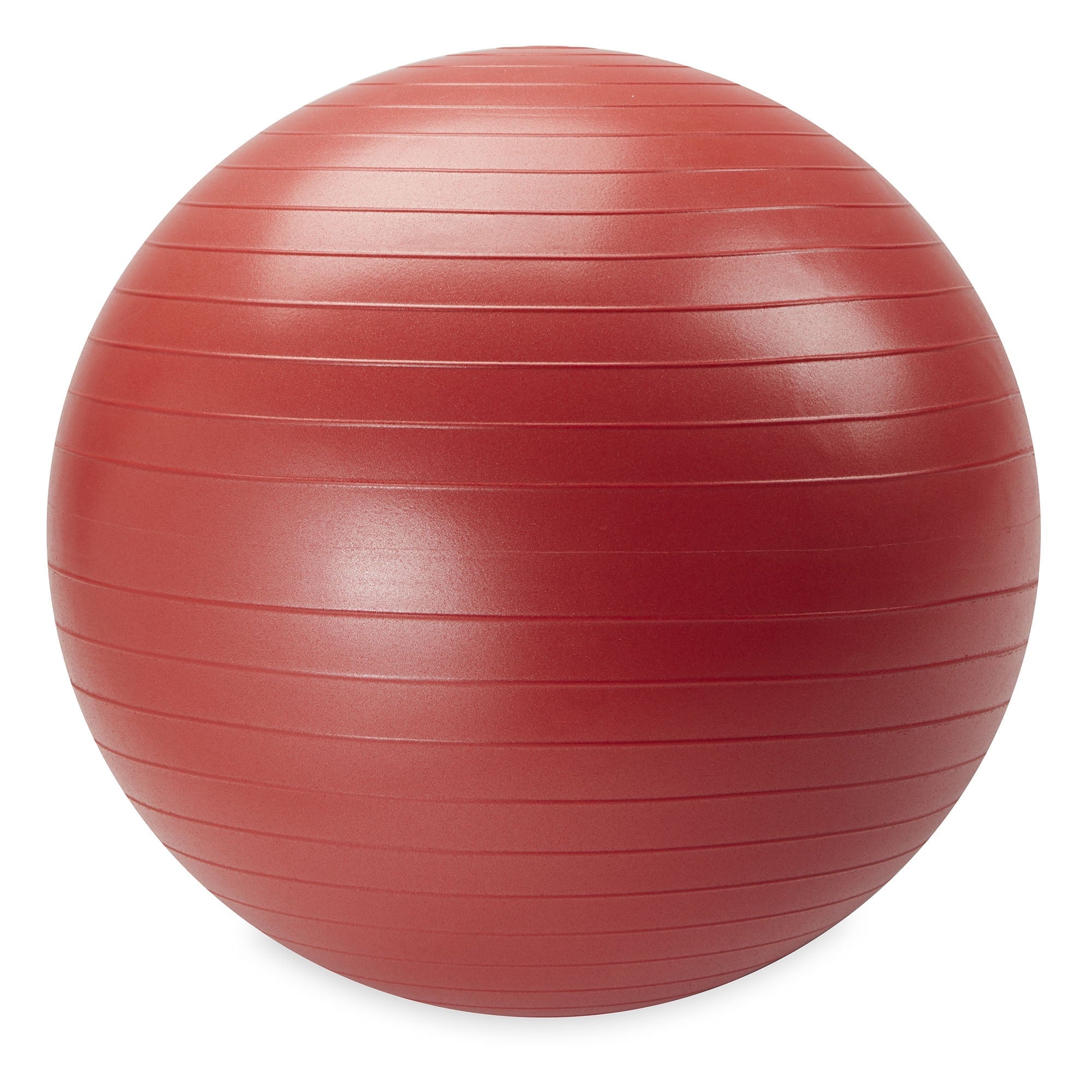 Reebok 65cm Medium Weighted Stability Ball, Pump Included
