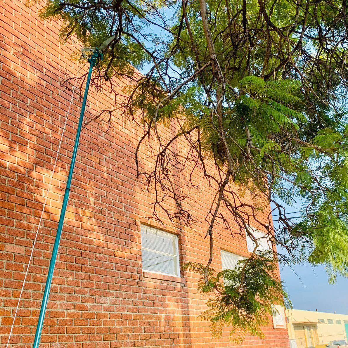 Lavo Home Telescoping Tree & Shrub Pole Pruner Saw 14 Foot Extendable