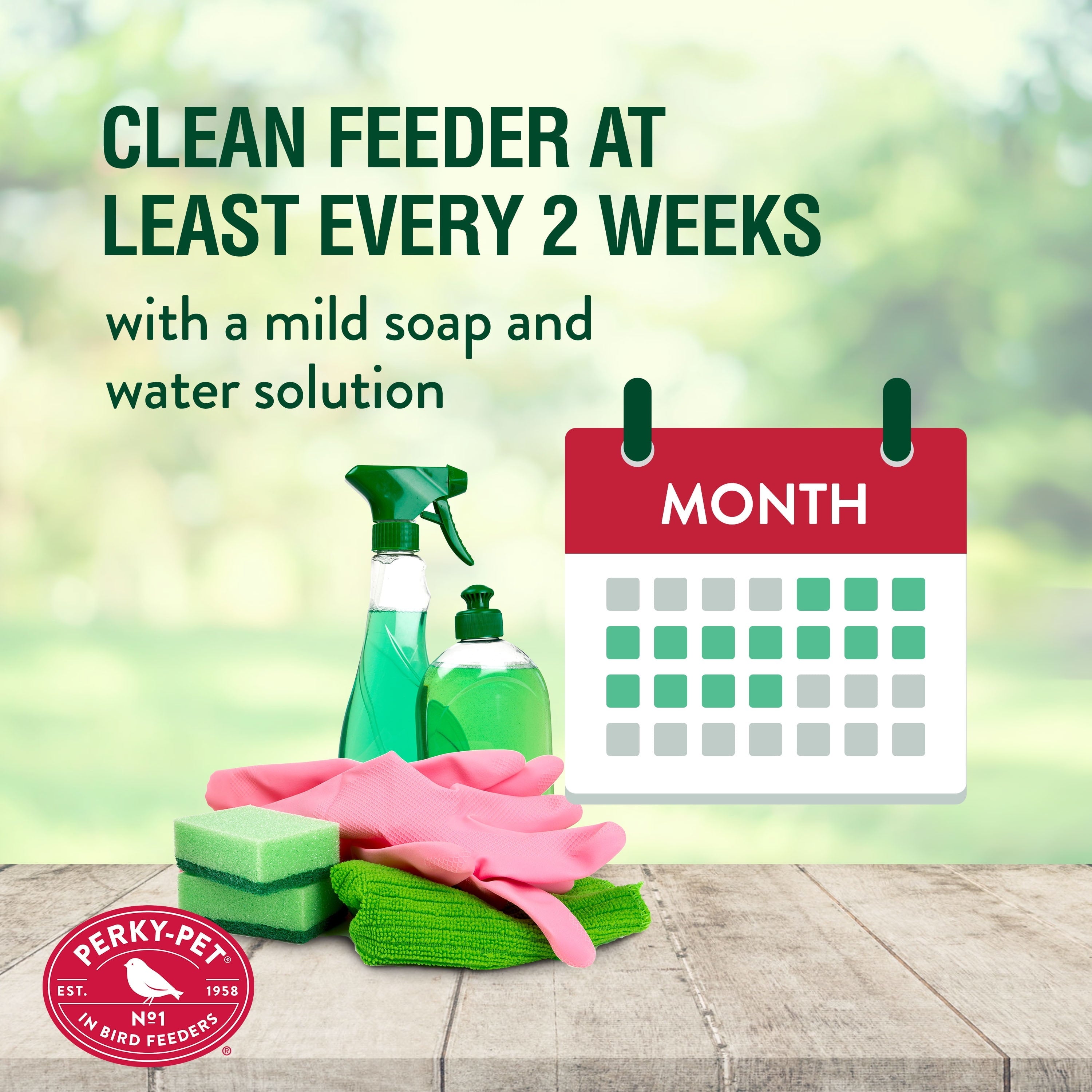 Perky-Pet Black Squirrel-Be-Gone Wild Bird Tube Feeder - 2 lb Capacity