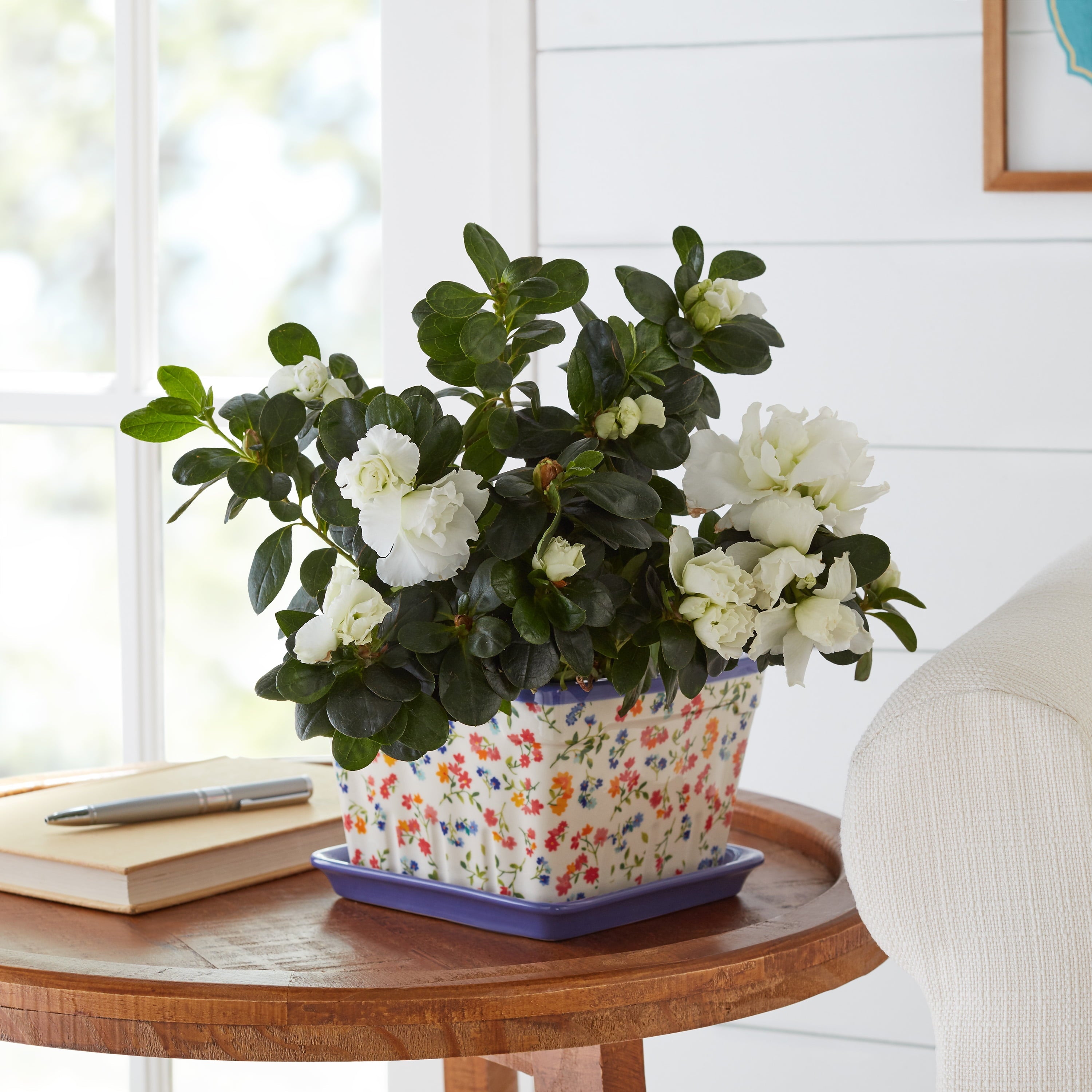 The Pioneer Woman Wild Flower Toss 6