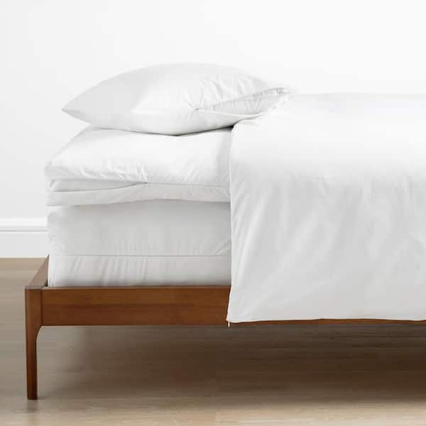 Company Cotton Standard Pillow Protector