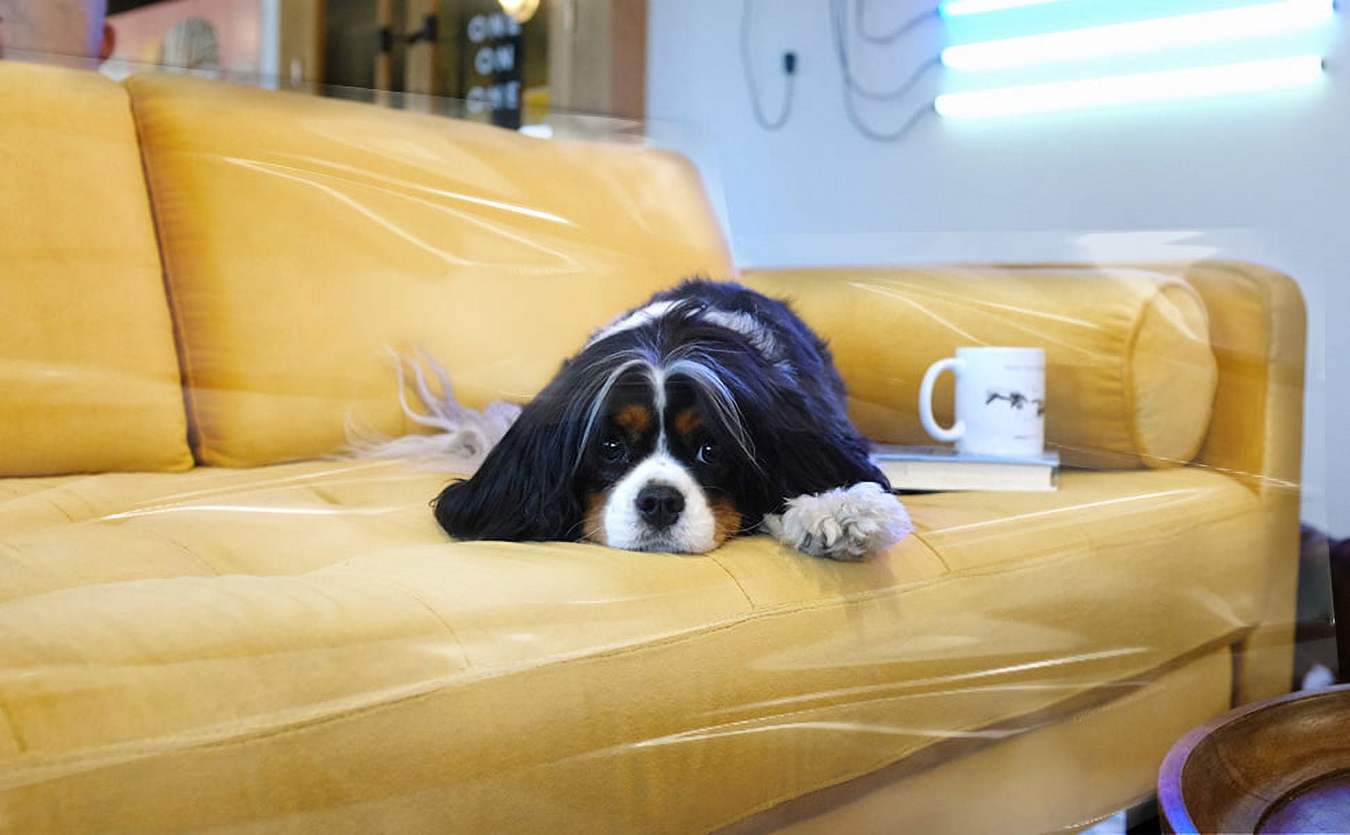 LAMINET Clear Heavy-Duty Water Resistant Sofa/Couch Slip Cover - Sofa