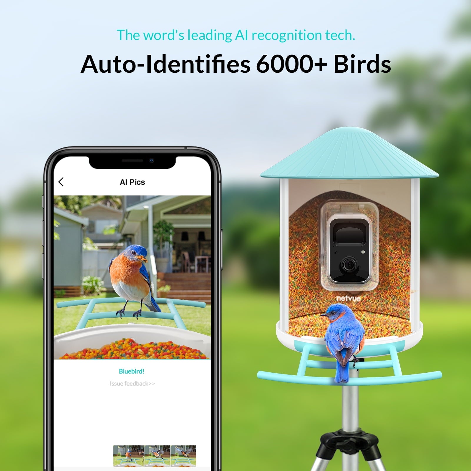Bird Feeder with Camera, Netvue Birdfy Smart Bird Feeder with AI Identify 6000+ Bird Species Phone App Night Vision for Bird Watching, Gifts for Parents, Blue (Birdfy AI+Solar)