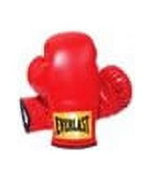 Everlast Youth 25lb Heavy Bag Starter Kit