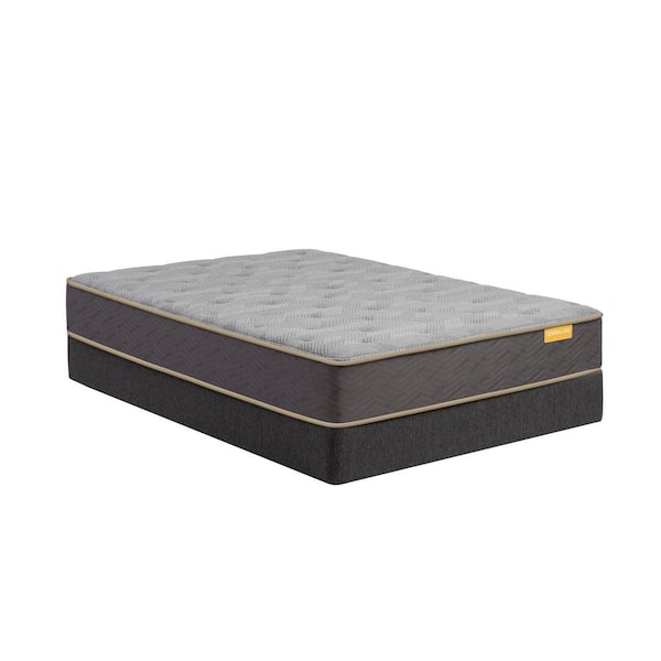 DeepSleep Twin Plush 11 in. Mattress Set with 9 in. Box Spring