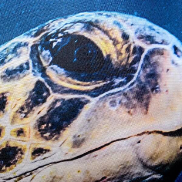 71 in. x 71 in. Navy/Gold/Aqua Sea Turtle Shower Curtain