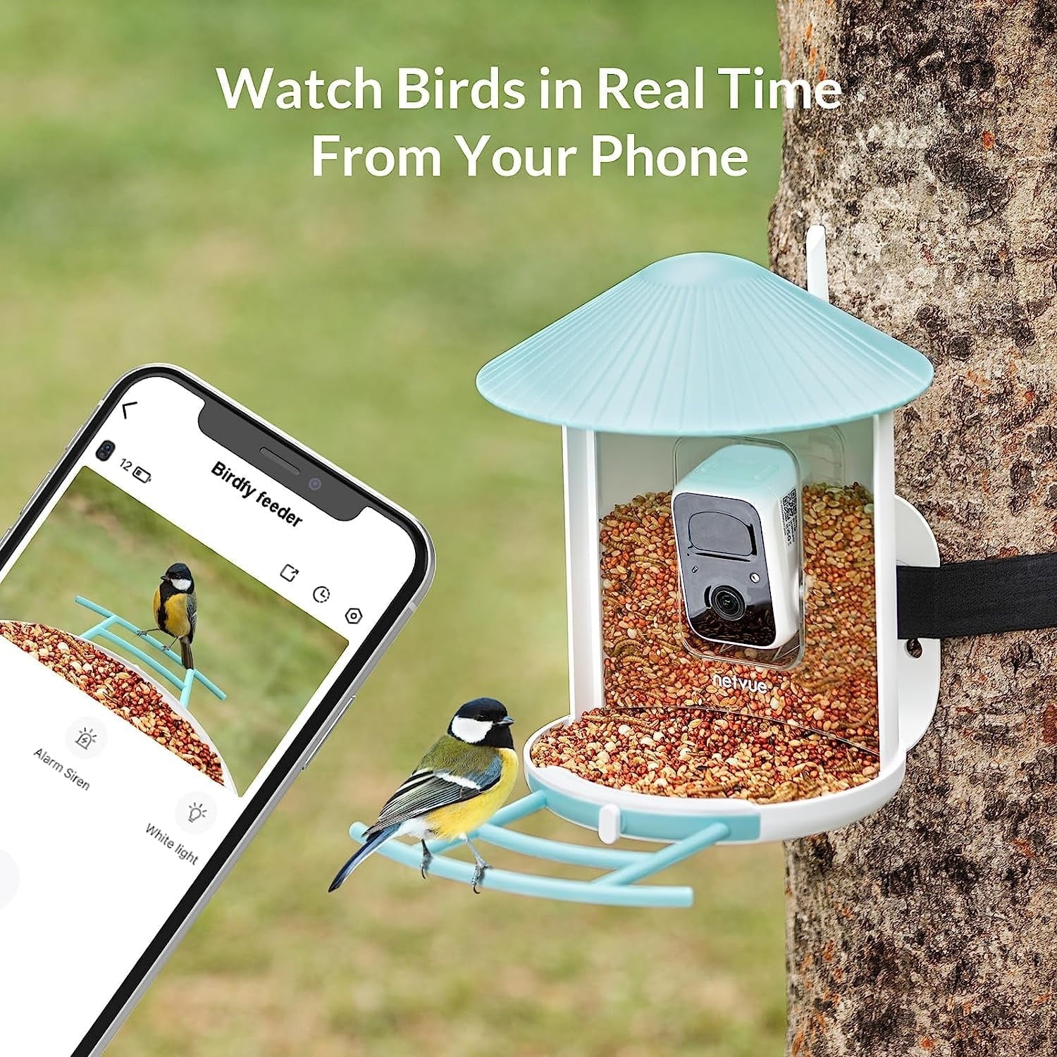 Bird Feeder with Camera, Netvue Birdfy Smart Bird Watching Camera with Solar Panel, Blue(Lite+Solar)