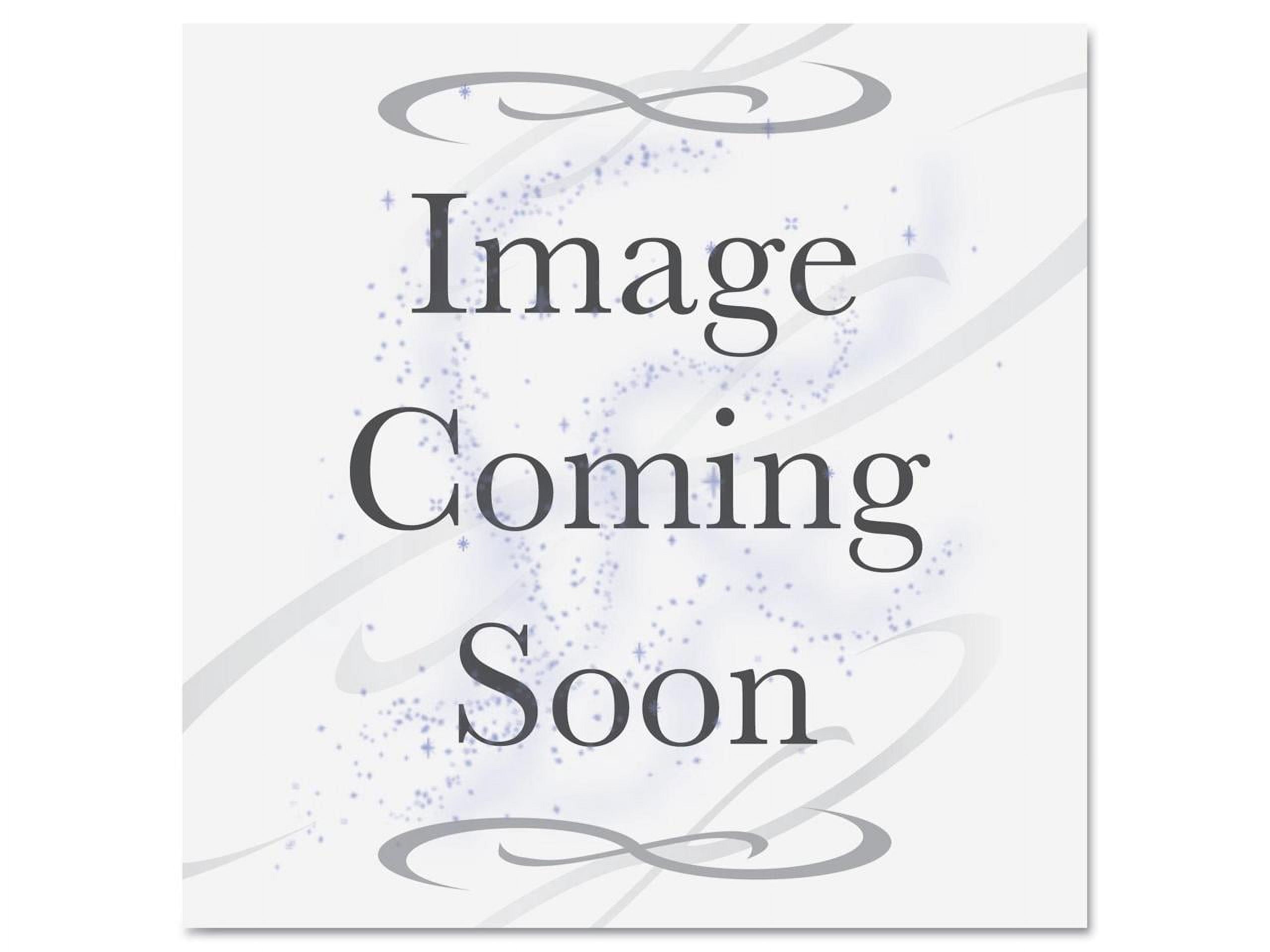 One TI-Nspire with Recharge Battery