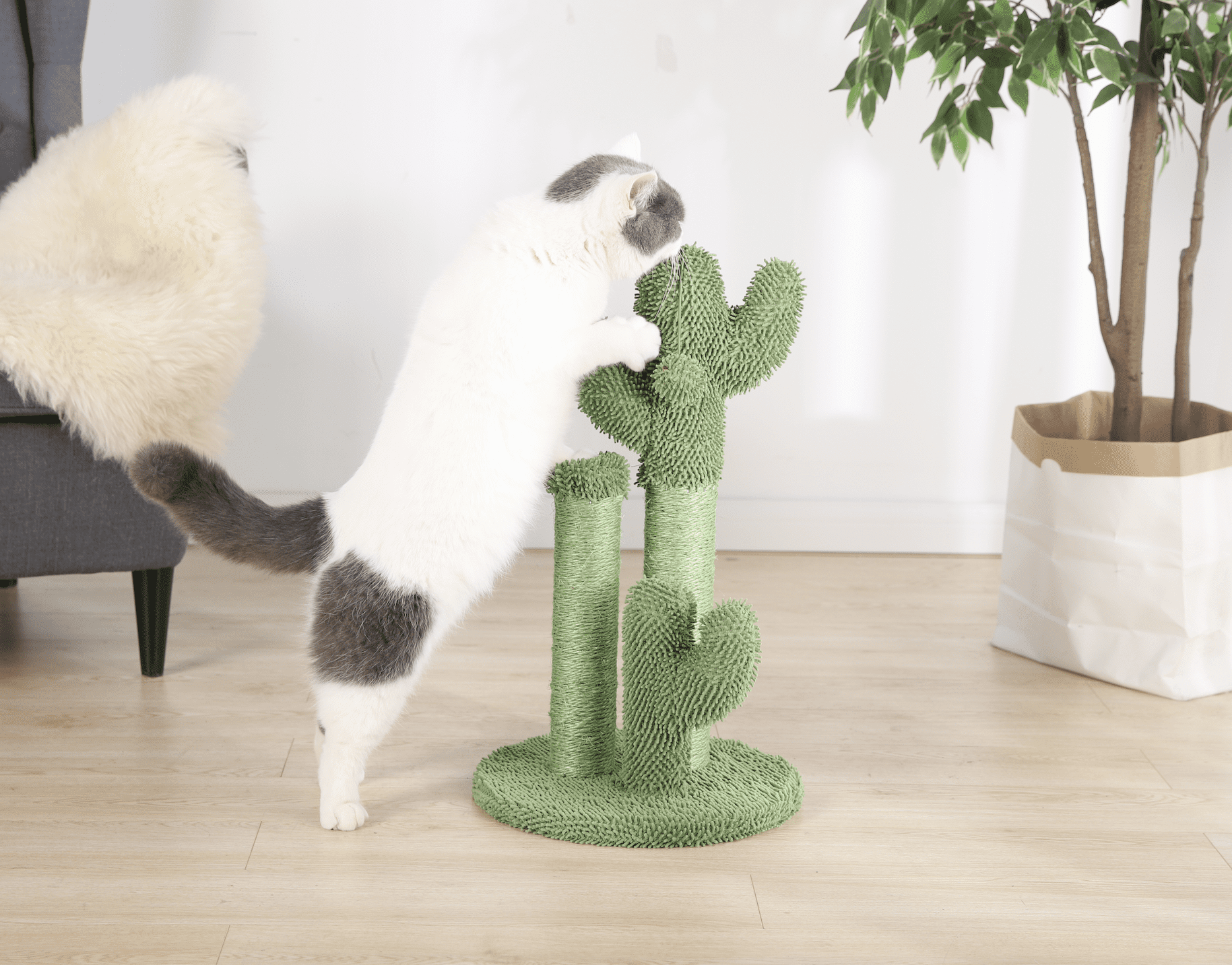 Vibrant Life Cactus Cat Scractching Post with Toy Ball,Green