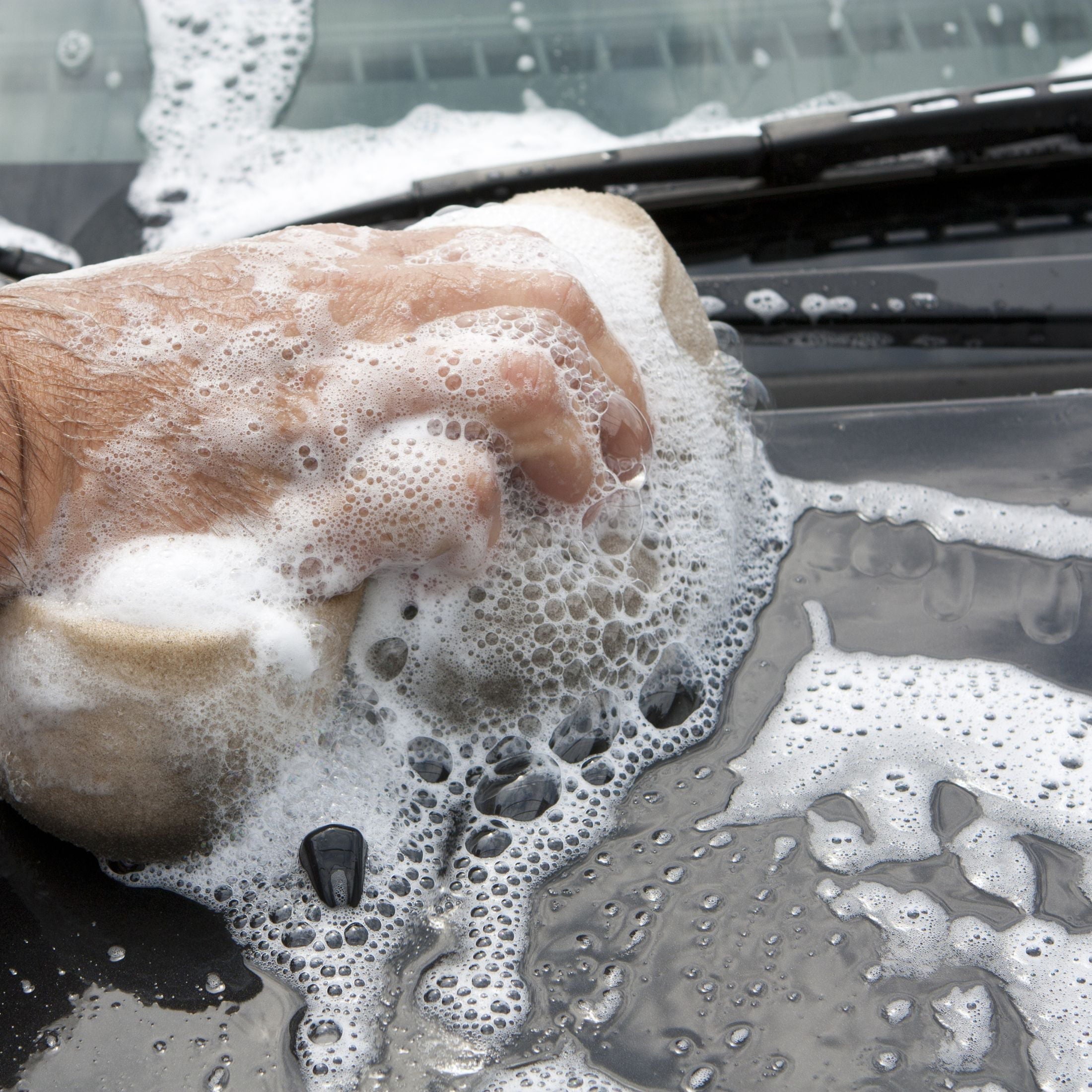 Well Life Clean Car Care - Vehicle Wash Shampoo - Plant Based Non-Toxic Cleaning Power - 16 Ounce