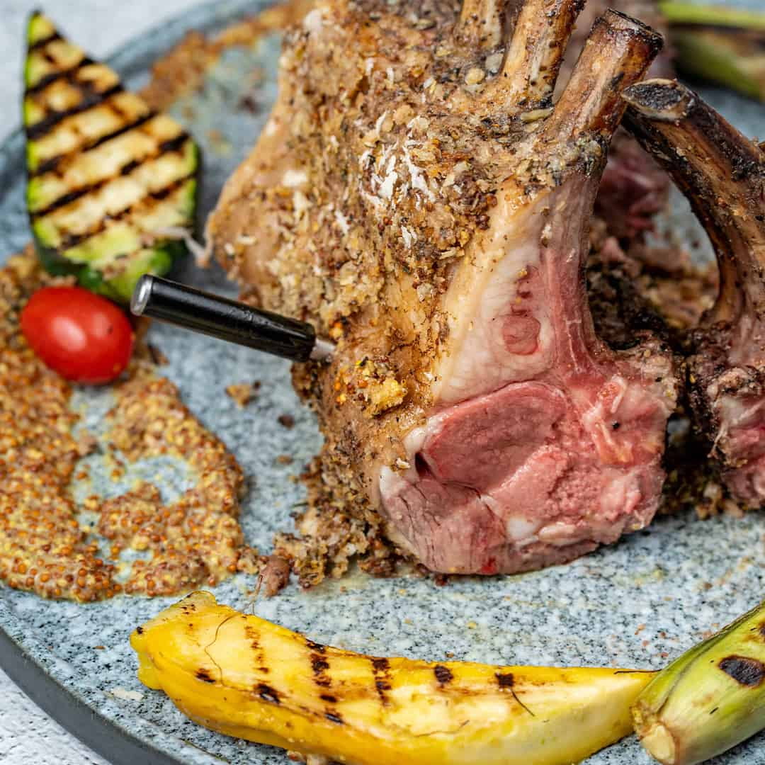 MeatStick Set | Wireless Meat Thermometer with Bluetooth | for BBQ, Kitchen, Smoker, Air Fryer, Deep Frying, Oven, Sous Vide, Grill, Rotisserie | Limited Range