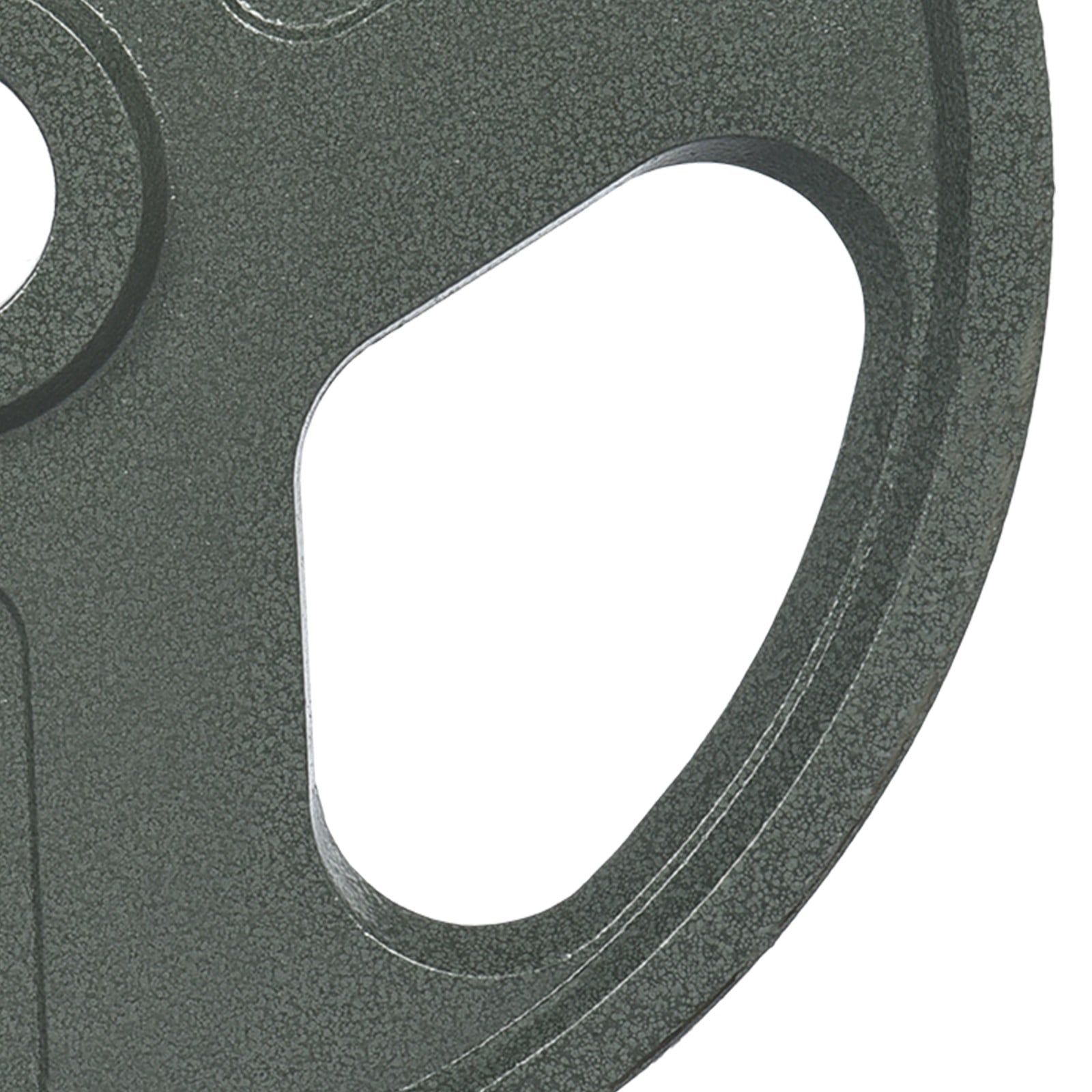 Guzom Exercise & Fitness- A Pair 10LB Plates Barbell Standard 2” Exercise Weights Gym Home