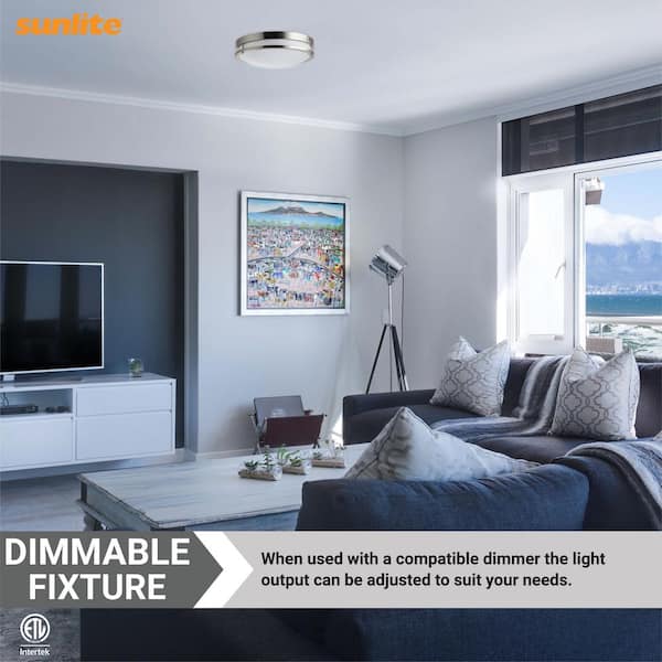 14 in. 1-Light Brushed Nickel Selectable LED Selectable CCT Round Dimmable Flush Mount with Emergency Backup Battery