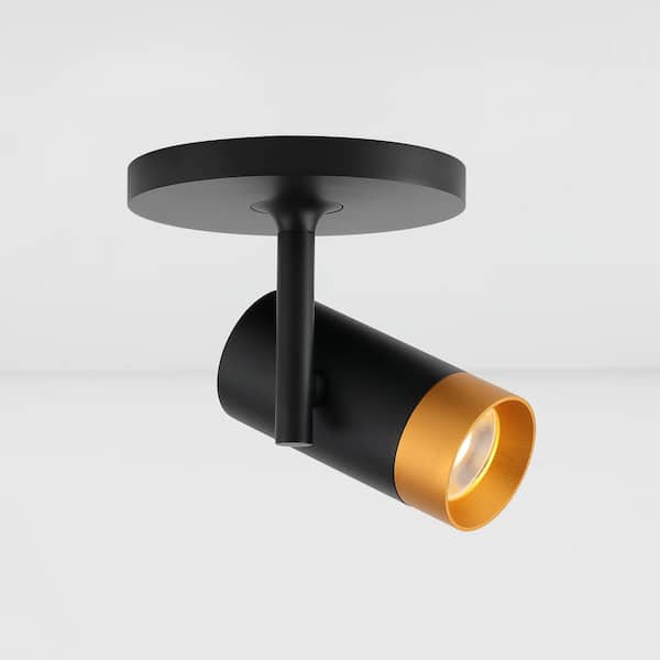 ZIV Modern 1-Light Integrated LED Flush Mount Spotlight with Color Changeable Lens Caps, Rotatable 3000k, Black