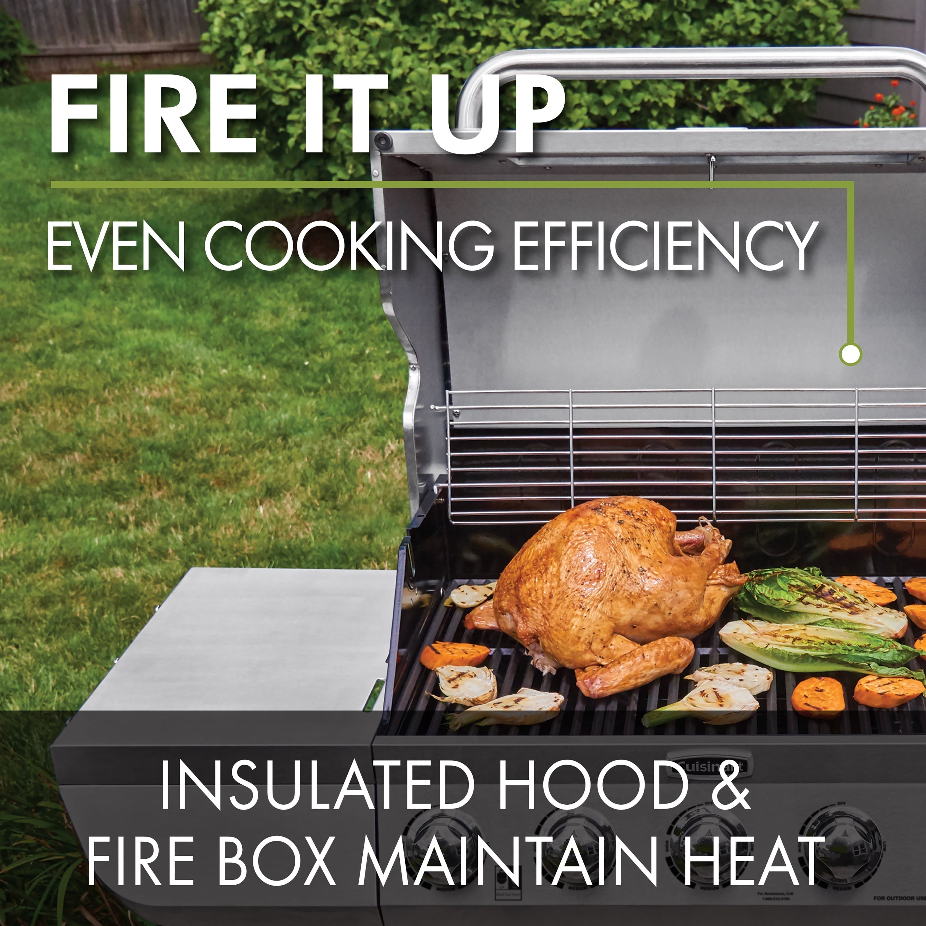 Five Burner Dual Fuel Gas Grill