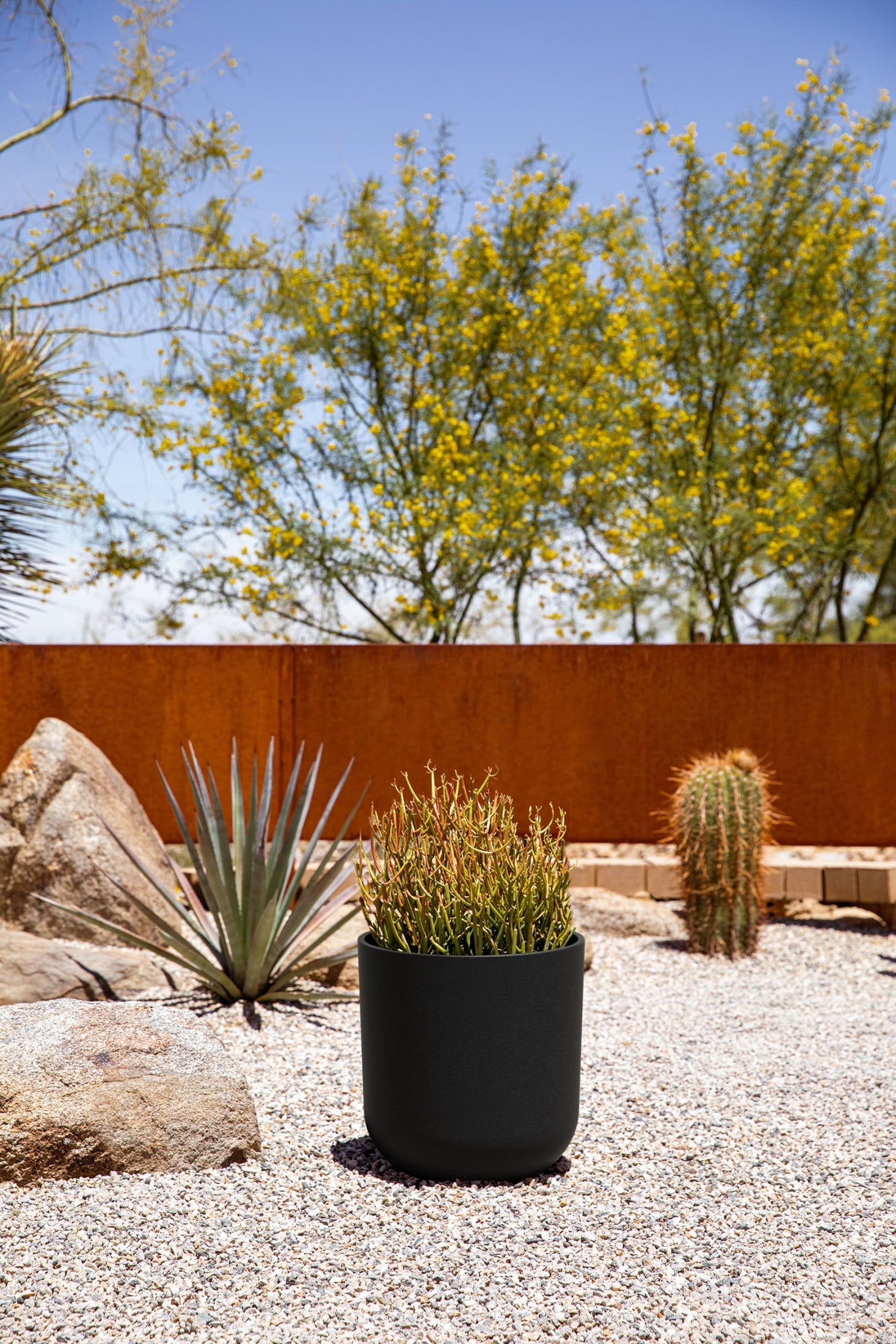 Veradek Mason Series Kona 10