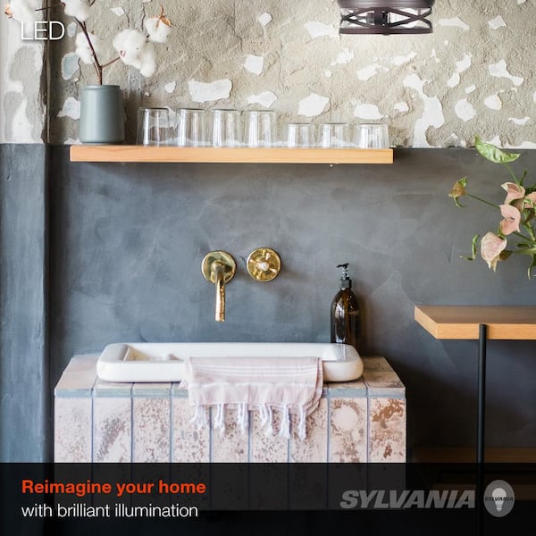 Wellesley 11 in. Double Bulb Antique Black Ceiling Flush Mount with 2 Edison 6.5-Watt LED Light Bulbs Included