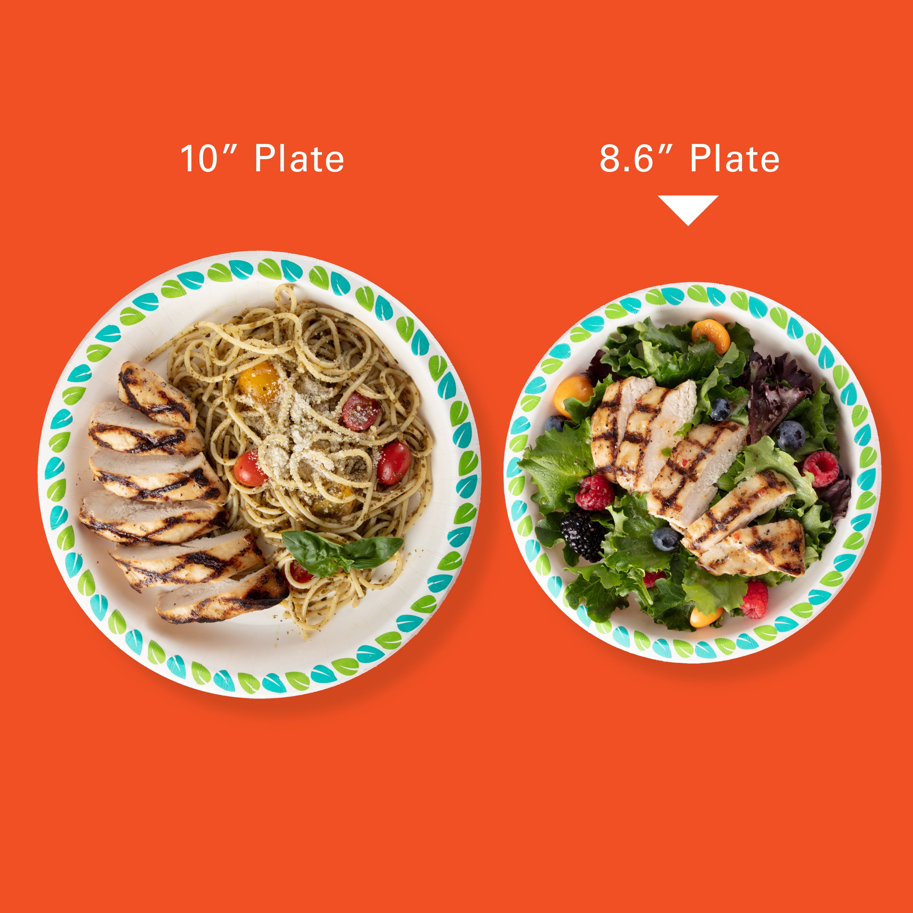 Hefty Compostable Printed Paper Plates, 8.6 Inch, 20 Count