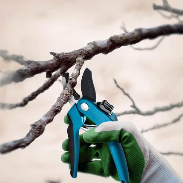 Professional Stainless Steel Heavy-Duty Garden Blue Anvil Pruning Shears