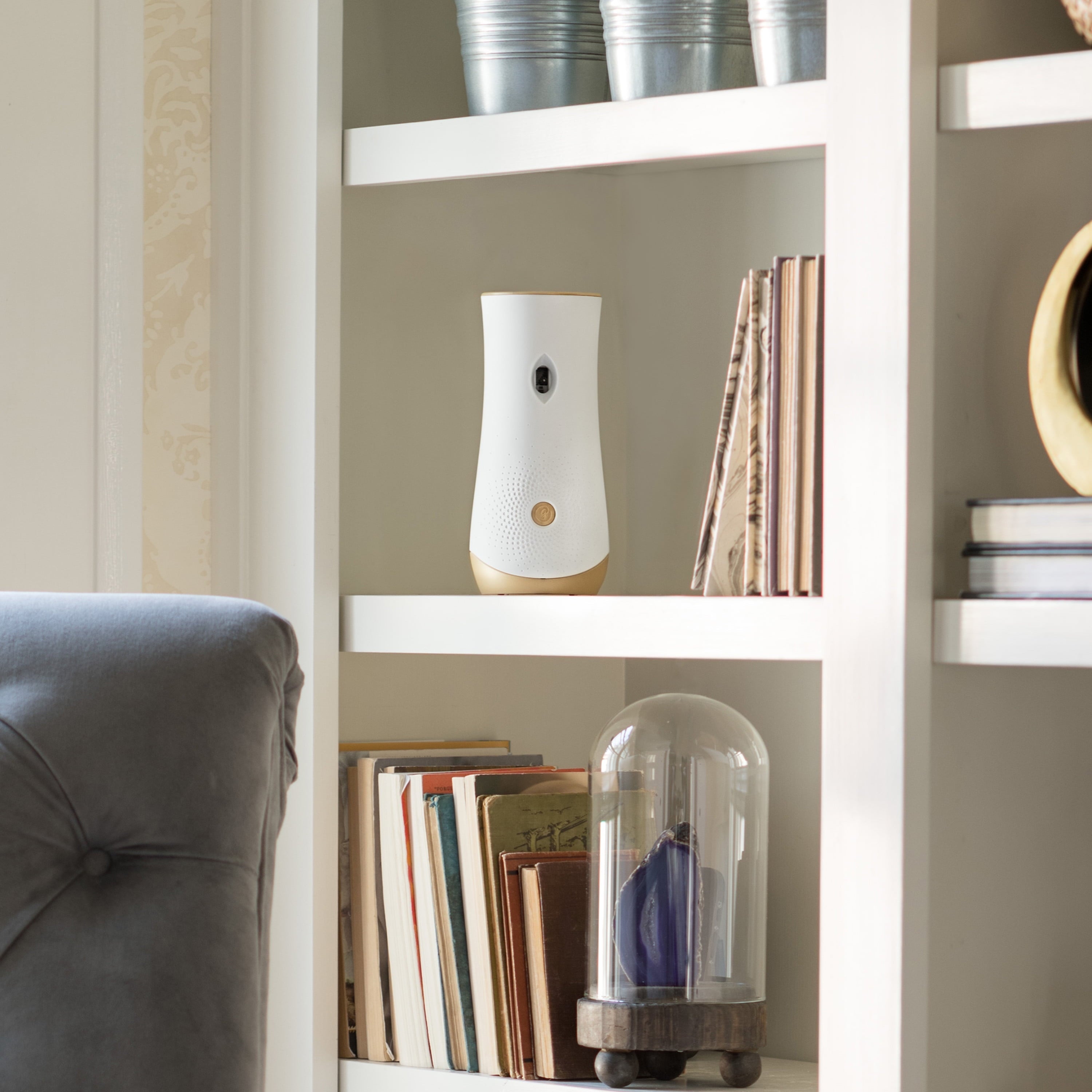 Glade Automatic Spray Refill 2 CT, Apple Cinnamon, 12.4 OZ. Total, Air Freshener