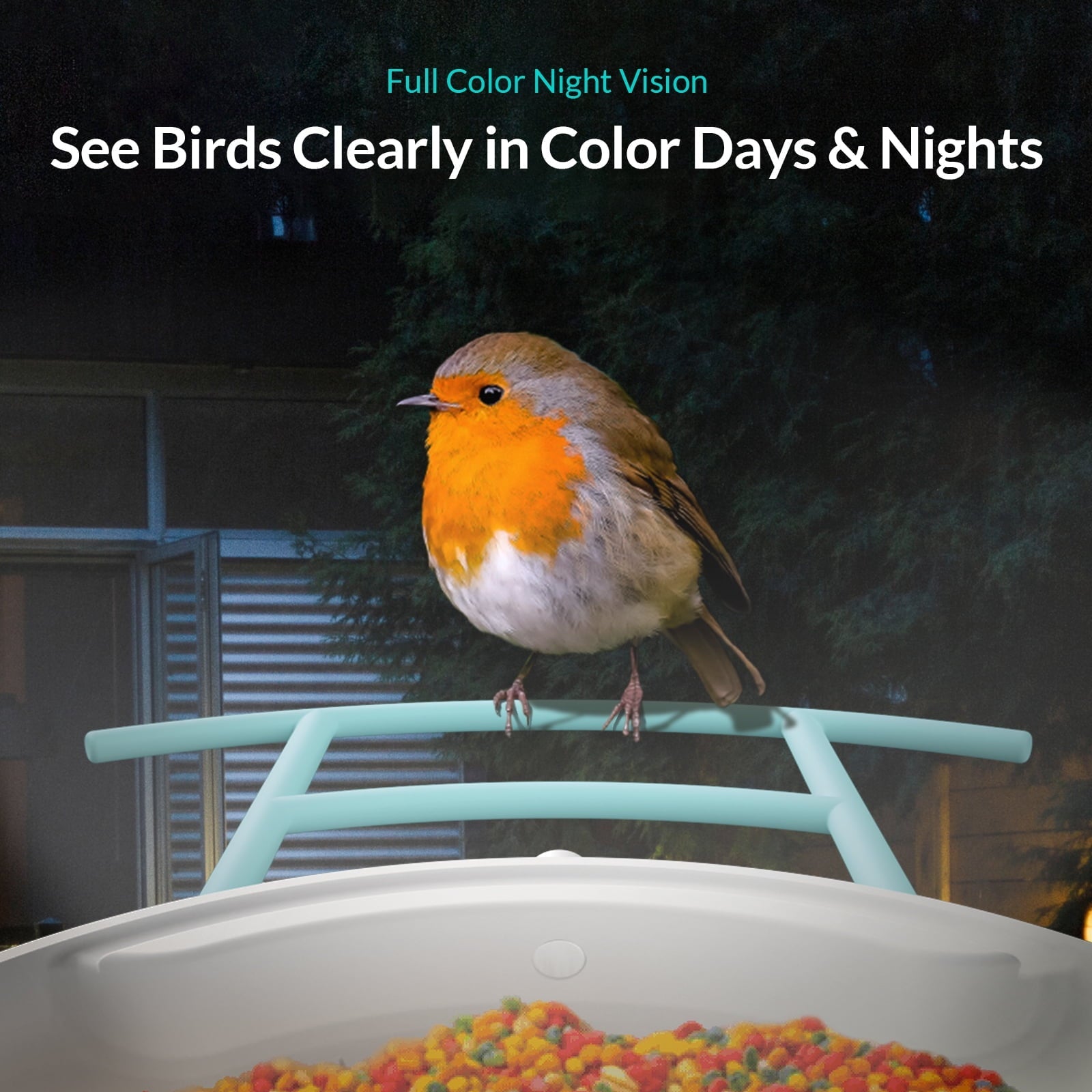 Bird Feeder with Camera, Netvue Birdfy Smart Bird Feeder with AI Identify 6000+ Bird Species Phone App Night Vision for Bird Watching, Gifts for Parents, Blue (Birdfy AI+Solar)