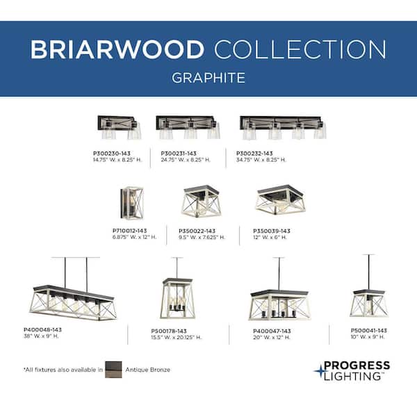 Briarwood Collection 2-Light Graphite Kitchen Farmhouse Ceiling Light Flush Mount