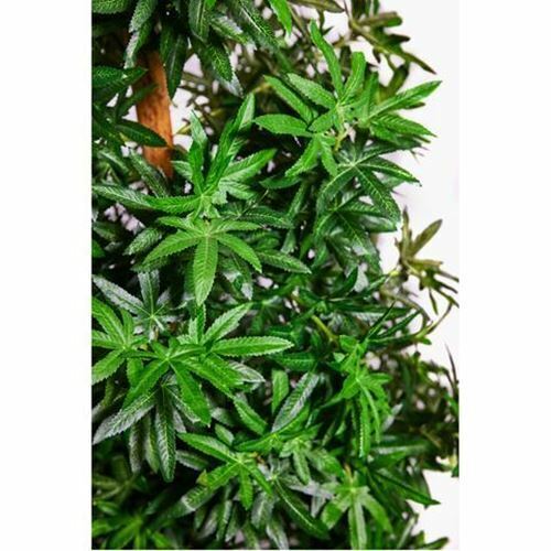 Artificial Fake Marijuana Leaf Christmas Tree Weed