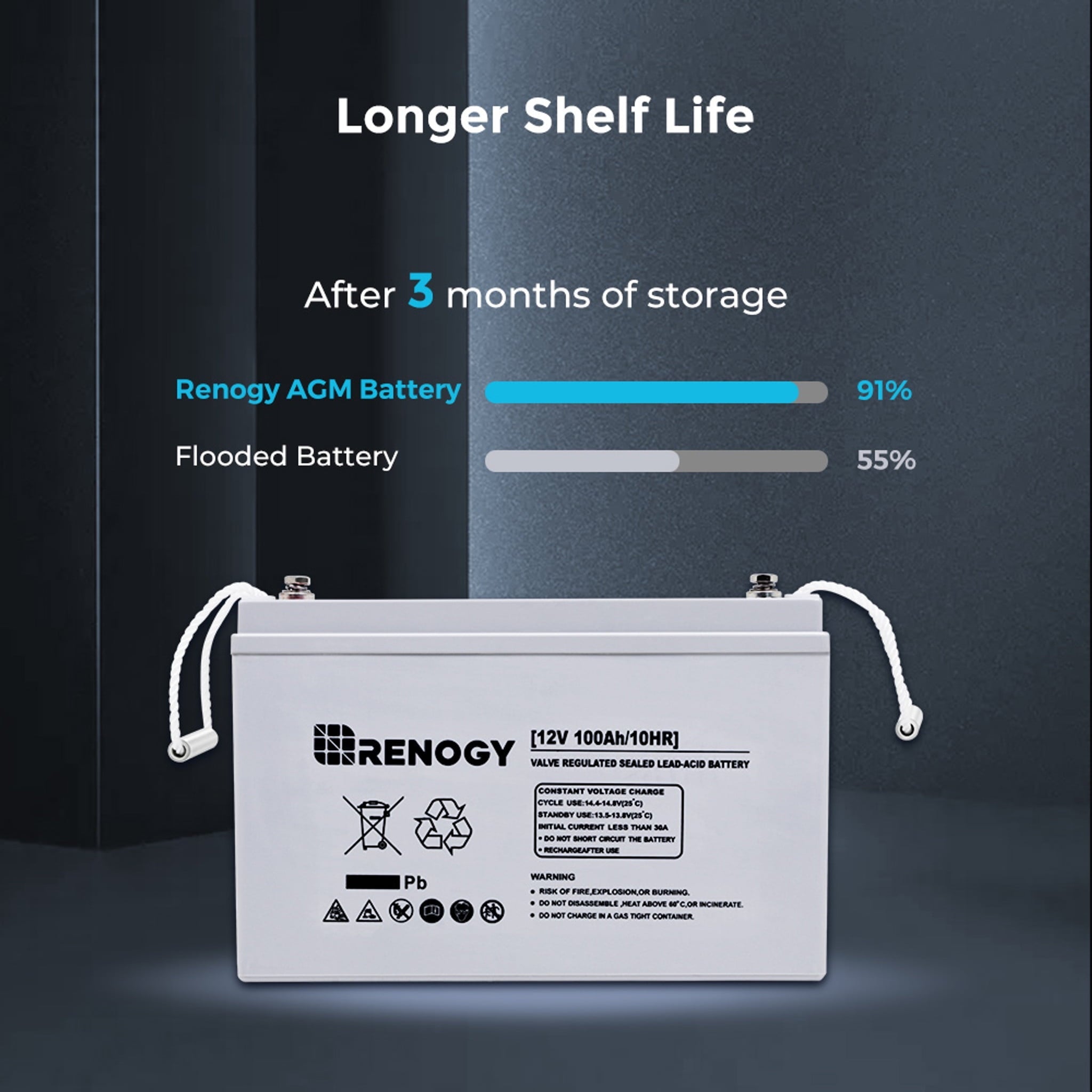 Renogy Deep Cycle AGM Battery 12 Volt 100Ah, 3% Self-Discharge Rate, 2000A Max Discharge Current, Safe Charge Most Home Appliances for RV, Camping, Cabin, Marine and Off-Grid System, Maintenance-Free