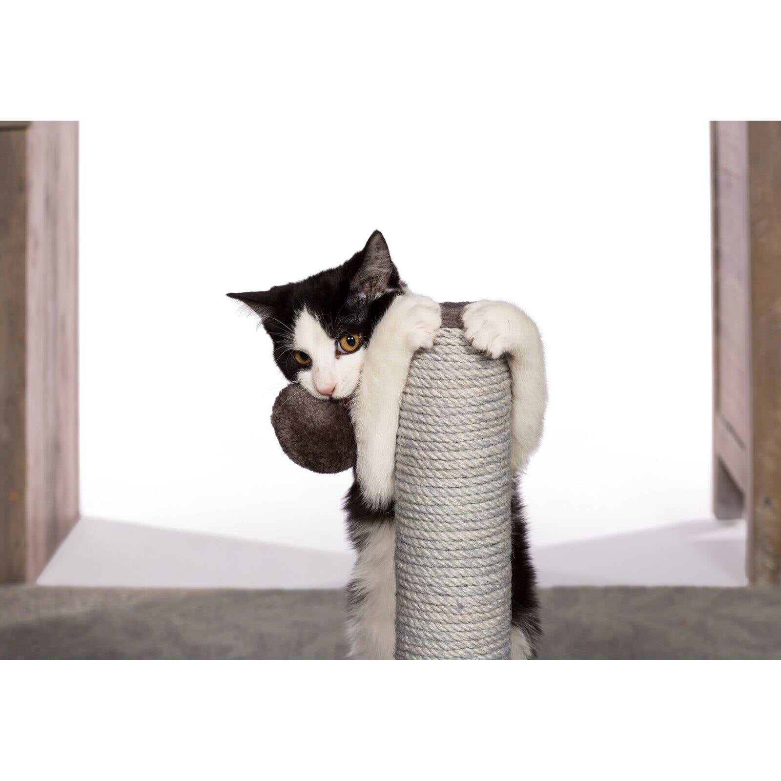 Prevue Pet Products Kitty Power Paws Play & Scratch 7151