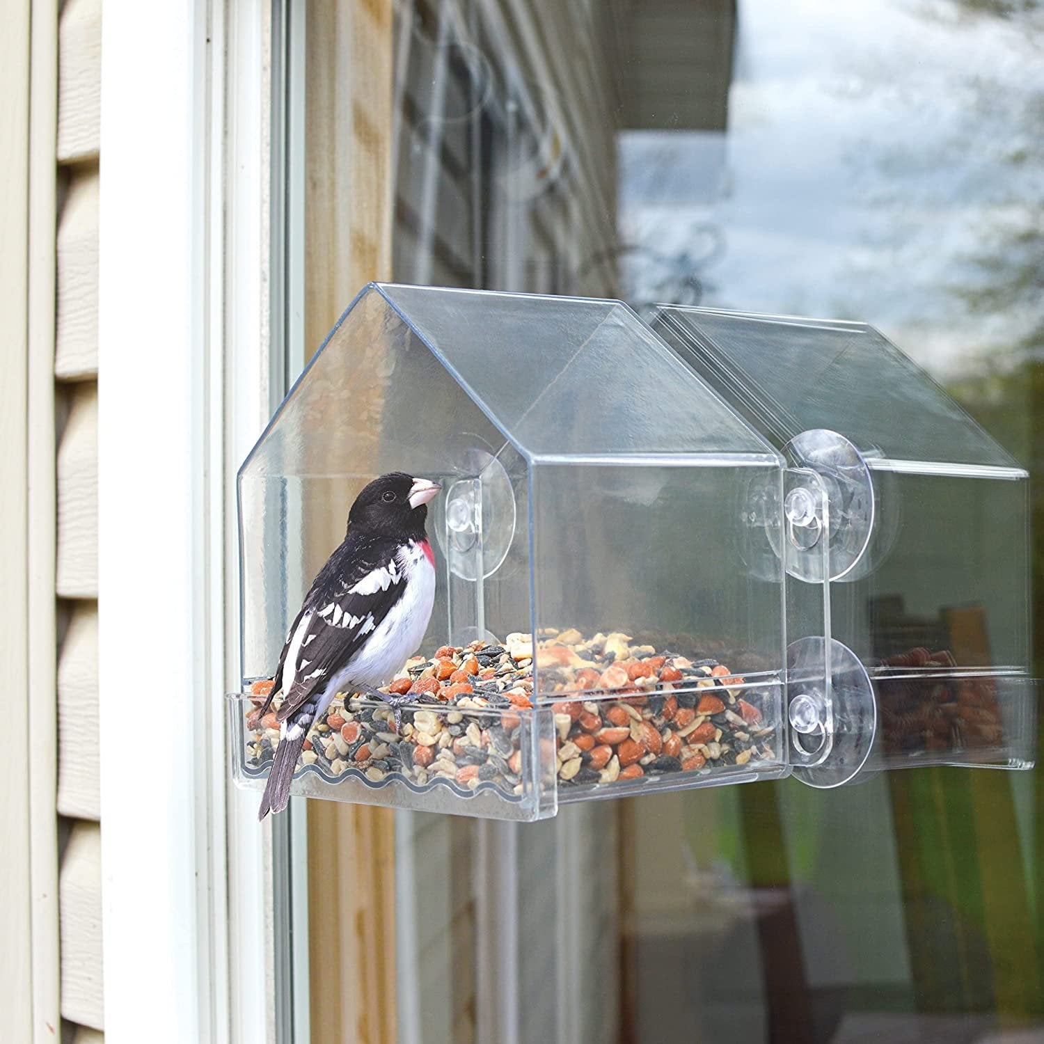 Nature's Way Bird Products Clear View Window Feeder