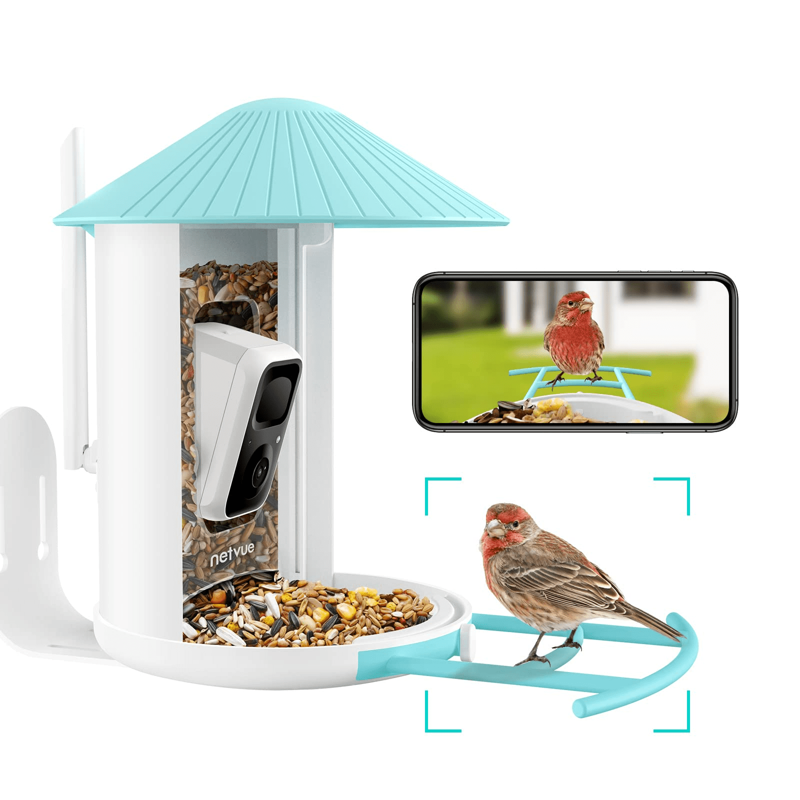 Bird Feeder with Camera, Netvue Birdfy Smart Bird Watching Camera with Solar Panel, Blue(Lite+Solar)