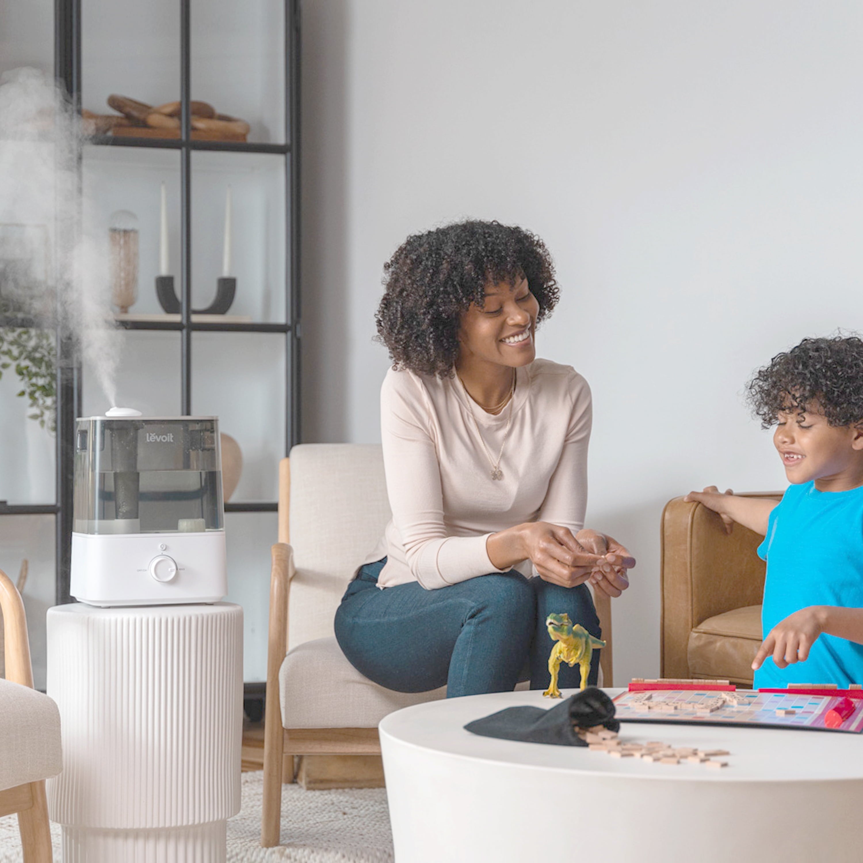 Levoit Cool Mist Humidifier for Room, Top Fill Vaporizer for Large Rooms with Nightlight, 6L, Classic 300, Gray