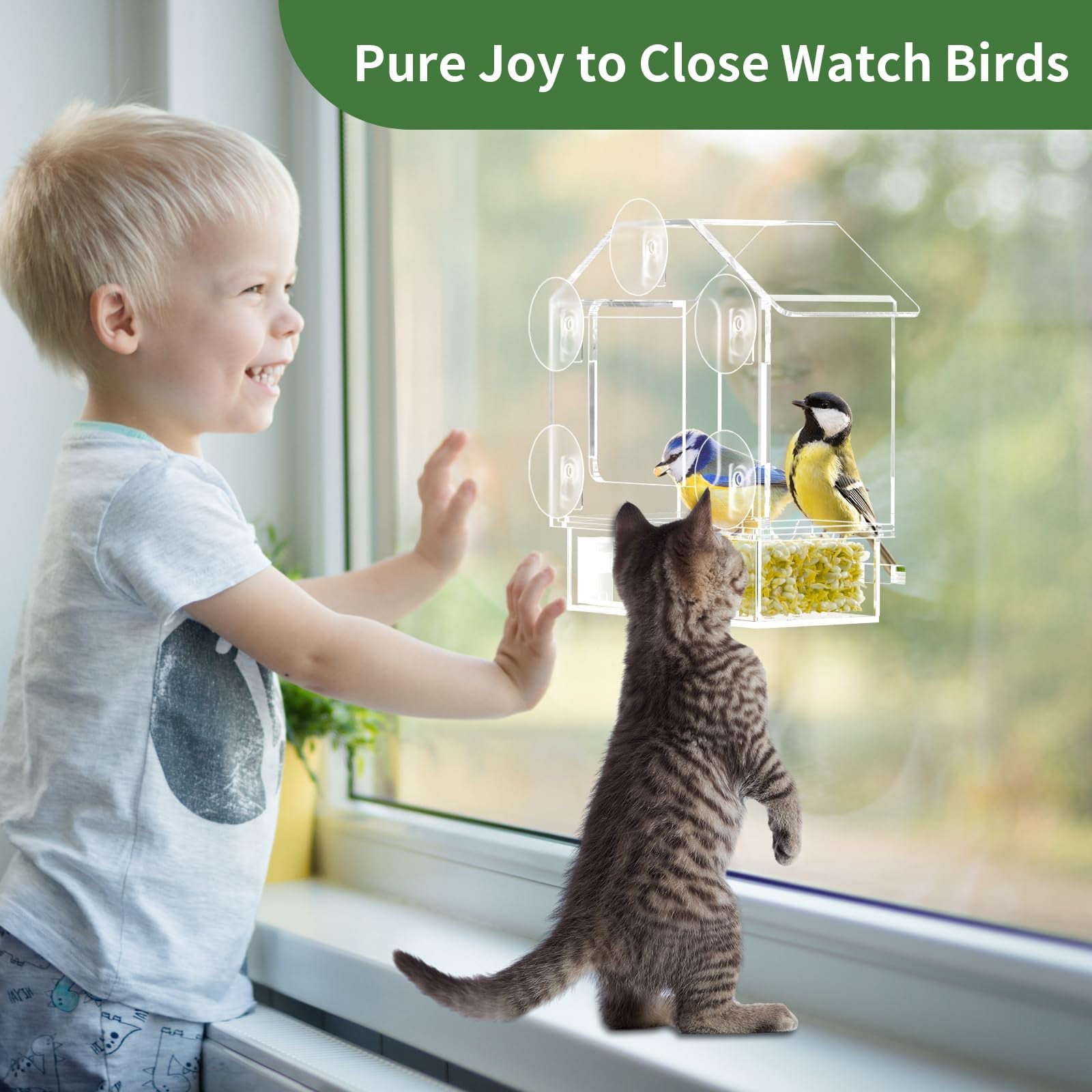 NIUBEE Window Hummingbird Feeder with 5 Strong Suction Cups, Clear Acrylic Bird Feeder for Outside- Slide Removable Tray, Bird Feeders Window Mount for Cat, Kid, Elderly Viewing Cardinal, Wild Birds