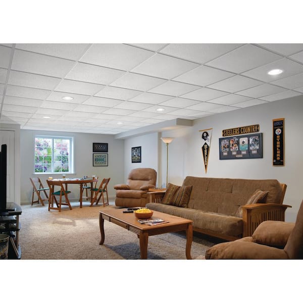 Fine Fissured 2 ft. x 2 ft. Tegular Ceiling Tile (64 sq. ft. / Case)