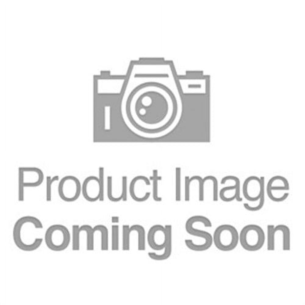 Heath Zenith Motion-Sensing Hardwired Incandescent White Floodlight