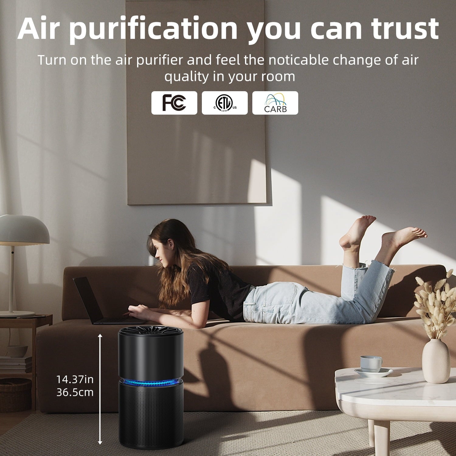 BREEZOME HEPA Air Purifier with Light Extra Large Room (620 Sq. Ft), Black